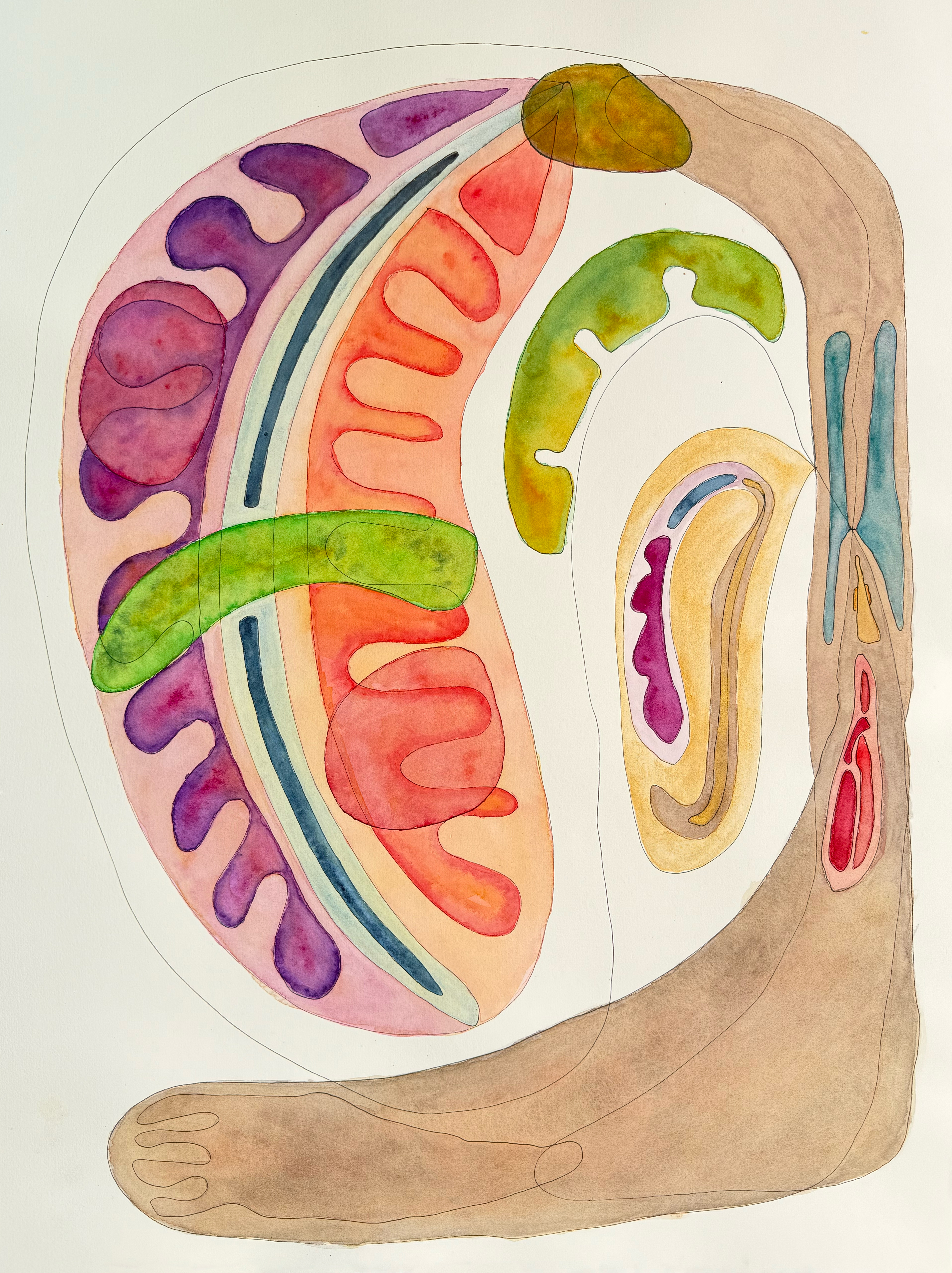 Le cerveau de maman